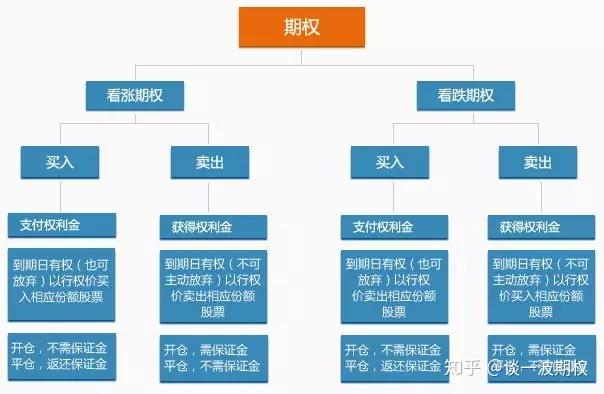 南木镇：春分时节插秧忙